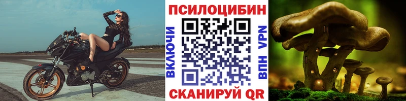 Галлюциногенные грибы мухоморы  Цоци-Юрт 