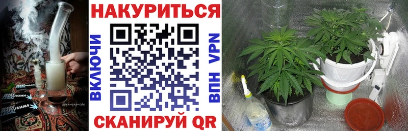 МЕГА ССЫЛКА  сколько стоит  Цоци-Юрт  МАРИХУАНА планчик 